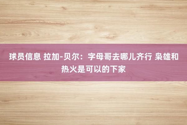 球员信息 拉加-贝尔：字母哥去哪儿齐行 枭雄和热火是可以的下家