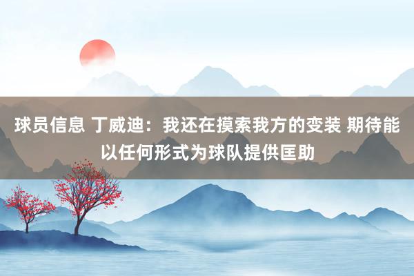 球员信息 丁威迪：我还在摸索我方的变装 期待能以任何形式为球队提供匡助