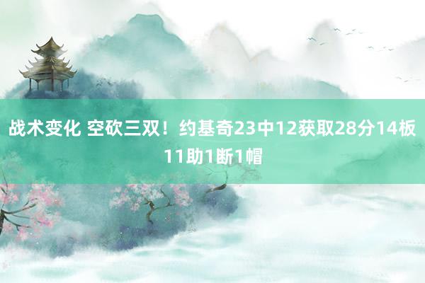 战术变化 空砍三双！约基奇23中12获取28分14板11助1断1帽