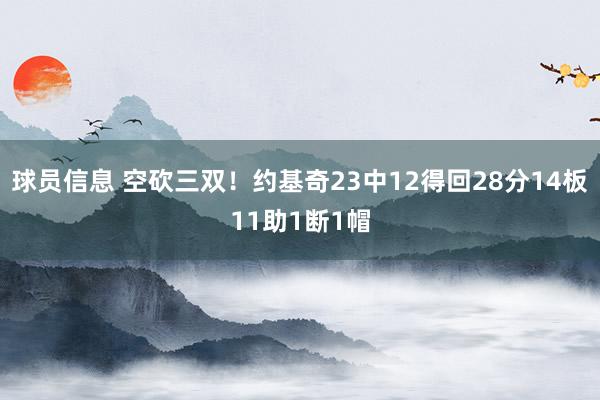 球员信息 空砍三双！约基奇23中12得回28分14板11助1断1帽