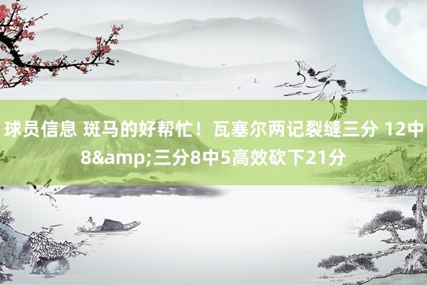 球员信息 斑马的好帮忙！瓦塞尔两记裂缝三分 12中8&三分8中5高效砍下21分