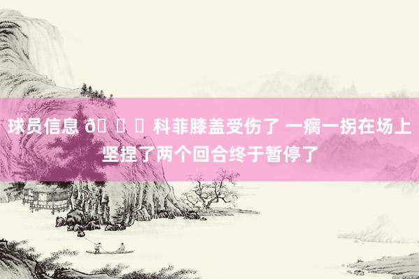 球员信息 😐科菲膝盖受伤了 一瘸一拐在场上坚捏了两个回合终于暂停了