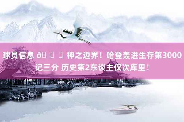 球员信息 😀神之边界！哈登轰进生存第3000记三分 历史第2东谈主仅次库里！