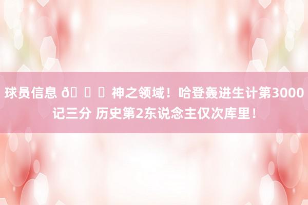 球员信息 😀神之领域！哈登轰进生计第3000记三分 历史第2东说念主仅次库里！