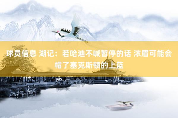 球员信息 湖记：若哈迪不喊暂停的话 浓眉可能会帽了塞克斯顿的上篮