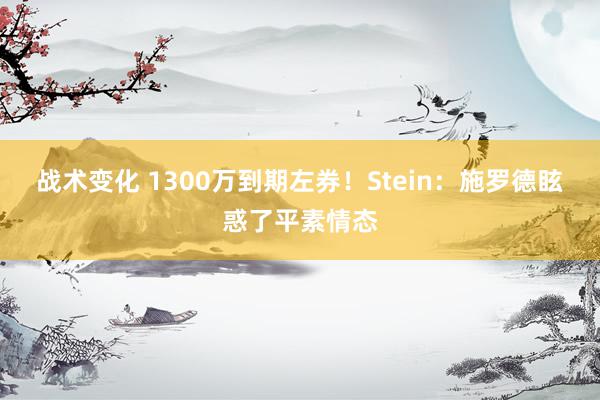 战术变化 1300万到期左券！Stein：施罗德眩惑了平素情态