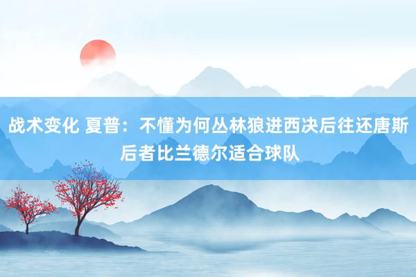 战术变化 夏普：不懂为何丛林狼进西决后往还唐斯 后者比兰德尔适合球队