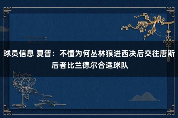 球员信息 夏普：不懂为何丛林狼进西决后交往唐斯 后者比兰德尔合适球队