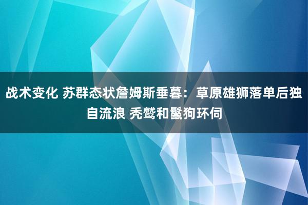 战术变化 苏群态状詹姆斯垂暮：草原雄狮落单后独自流浪 秃鹫和鬣狗环伺