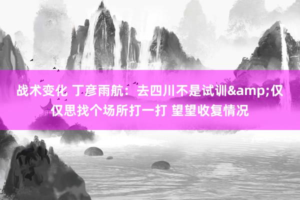 战术变化 丁彦雨航：去四川不是试训&仅仅思找个场所打一打 望望收复情况