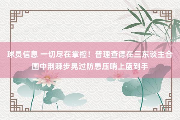 球员信息 一切尽在掌控！普理查德在三东谈主合围中荆棘步晃过防患压哨上篮到手