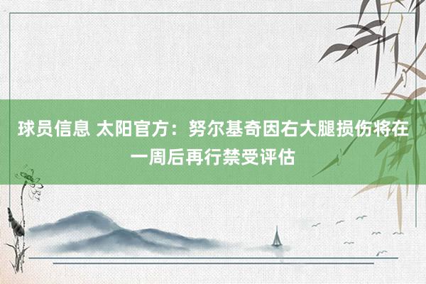 球员信息 太阳官方：努尔基奇因右大腿损伤将在一周后再行禁受评估