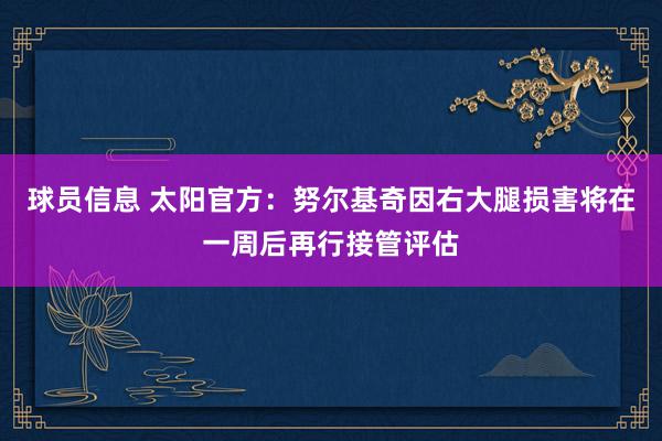 球员信息 太阳官方：努尔基奇因右大腿损害将在一周后再行接管评估